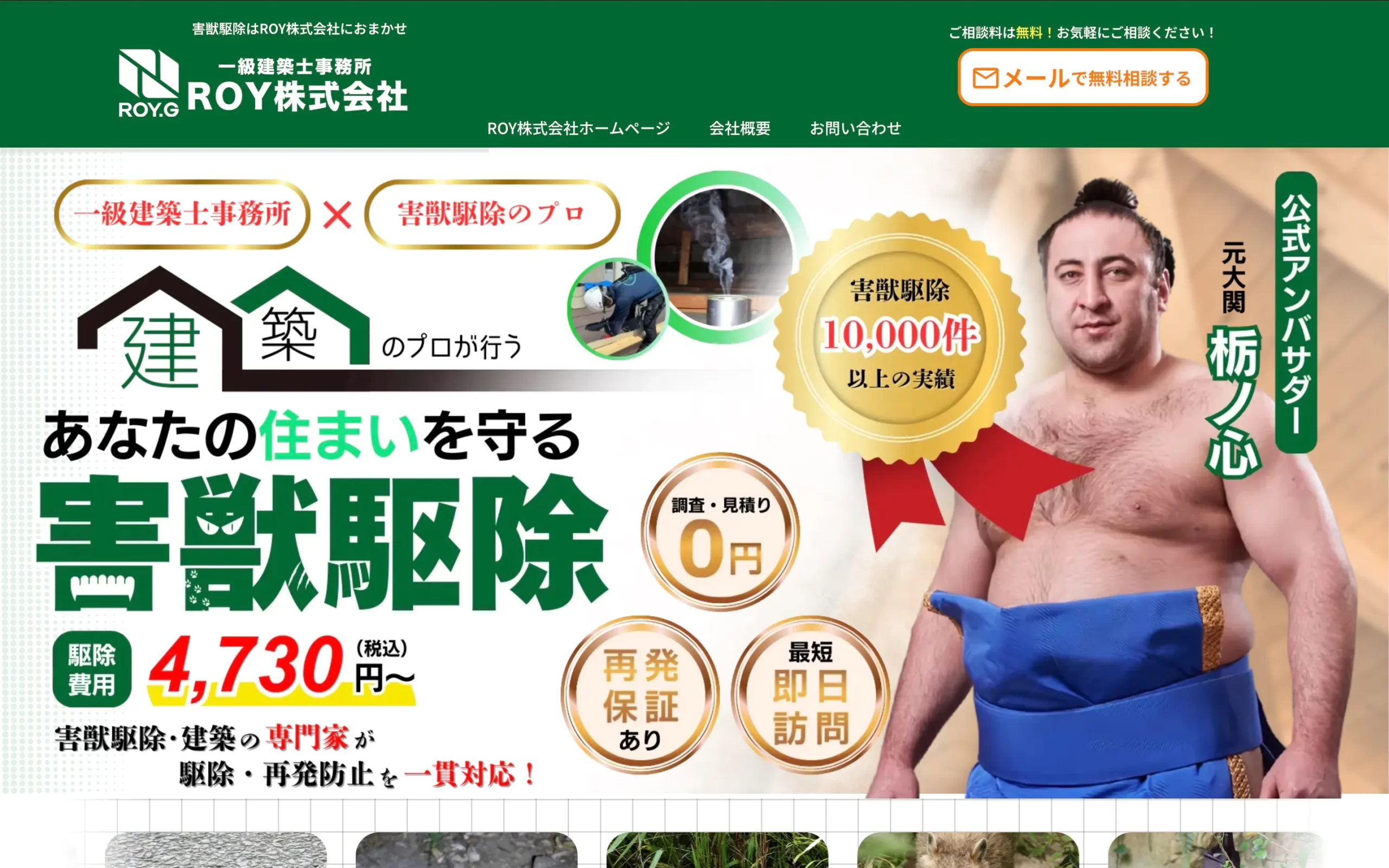 ロイ(ROY)株式会社のホームページ